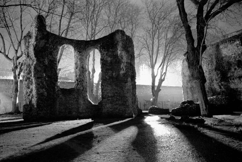 Floodlit ruins of Reading Abbey at night, bare trees casting long shadows