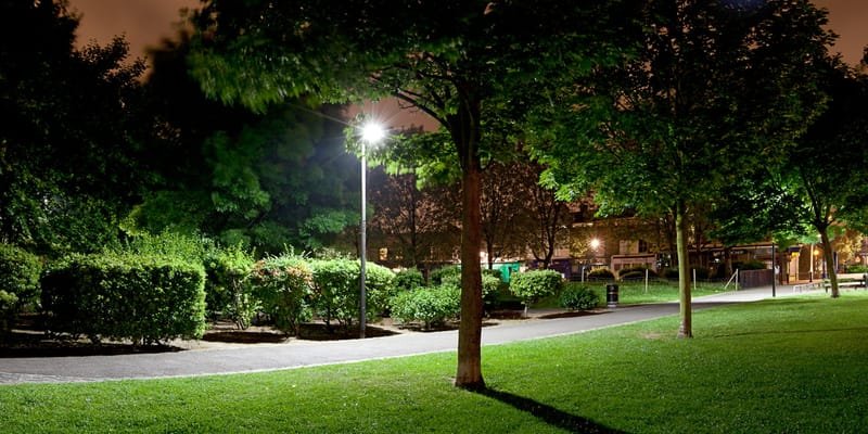 Hedge-lined park lawn under lamplight at night